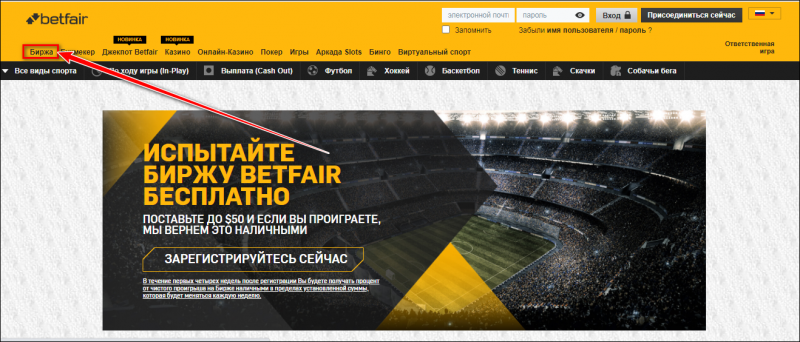 5 прибыльных стратегий на бирже Betfair