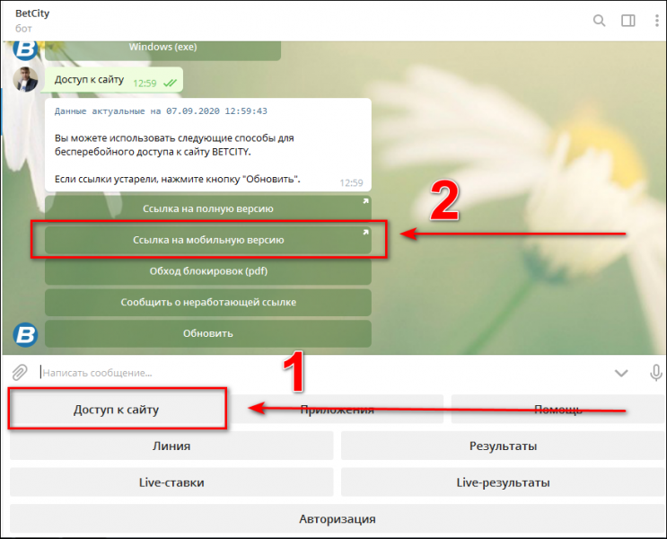 Альтернативный адрес Бетсити