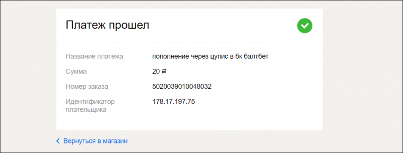 Как делать ставки в букмекерской конторе Балтбет: подробная инструкция