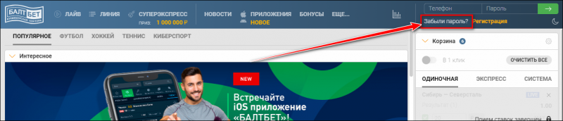 Вход в личный кабинет БК Балтбет