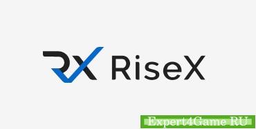 Обменник RiseX: обзор, инструкции, комиссии